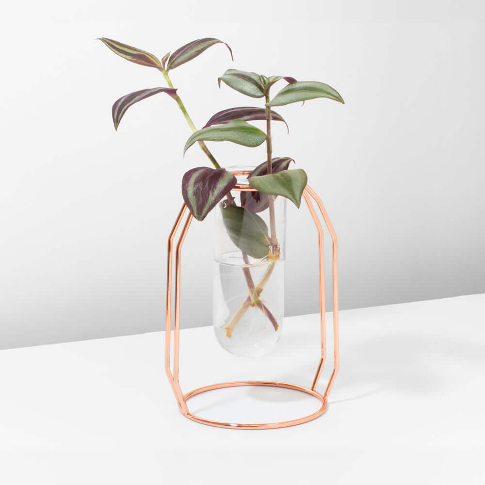 Lyfe Propagation Station - Single Tube Rose Gold