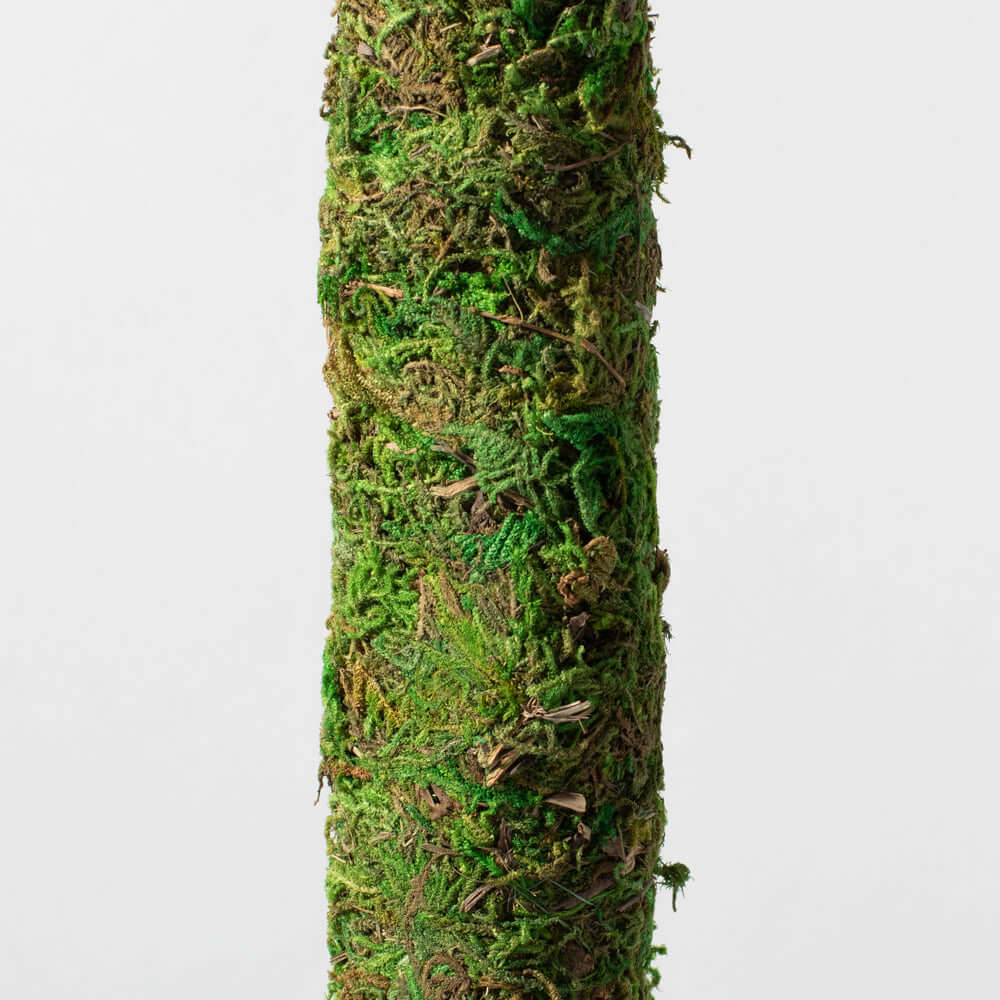 Moss Pole Green