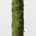 Moss Pole Green