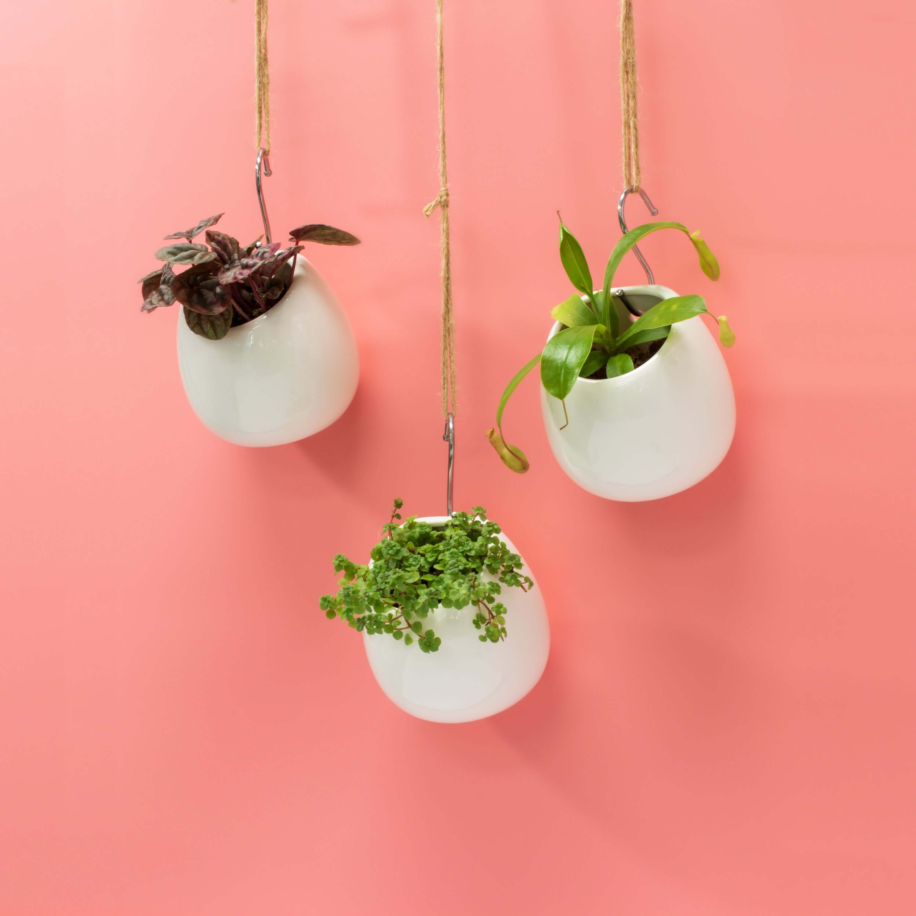 Amelia Hanging Planter 4"- Empty