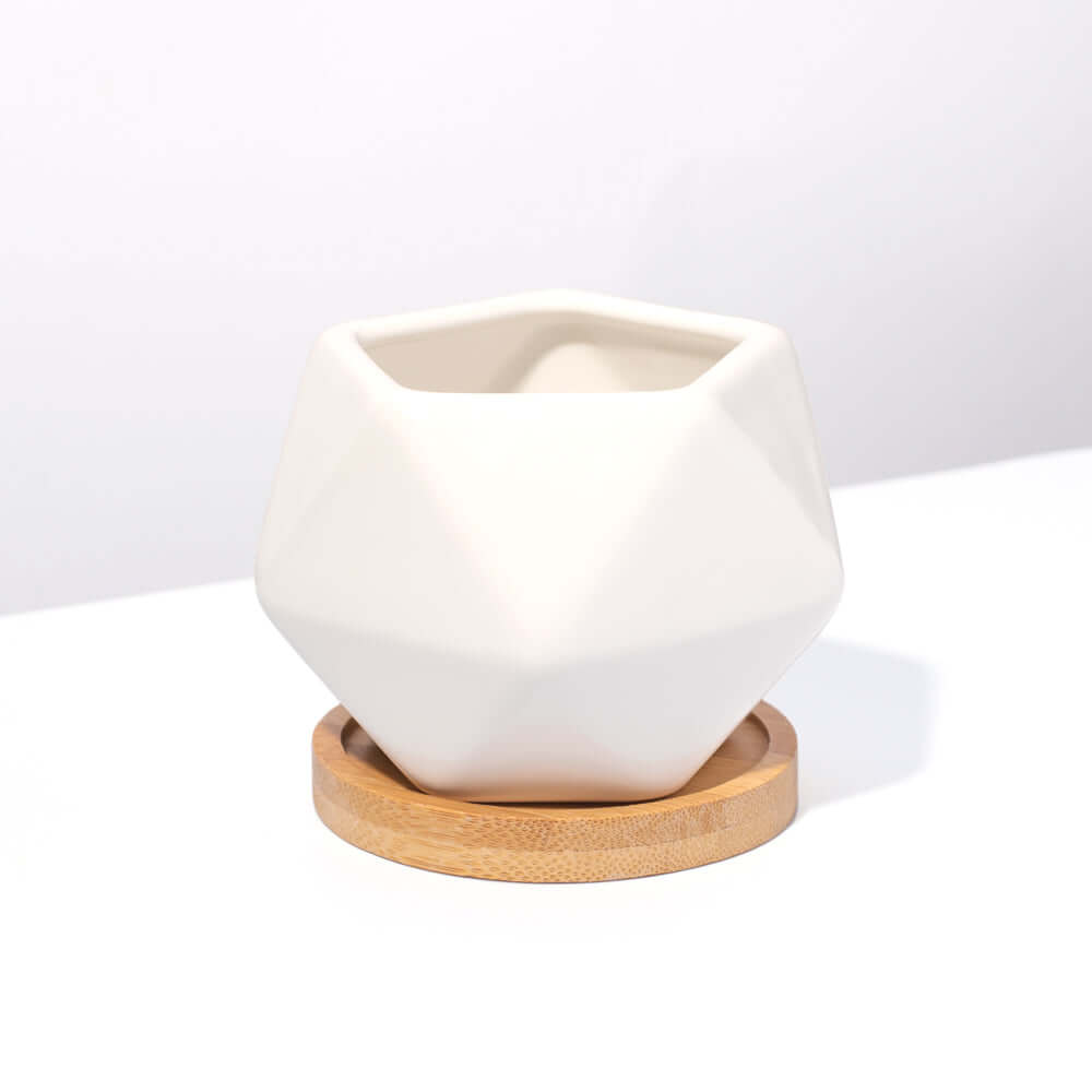 Wanda Planter - Empty
