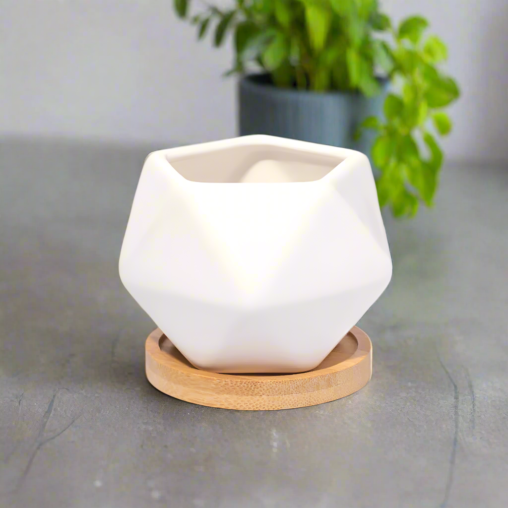 Wanda Planter - Empty