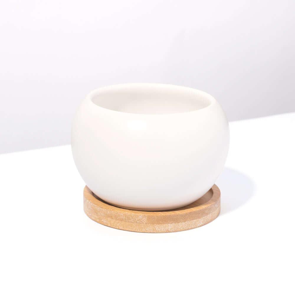 Diana Ceramic 3" - Empty