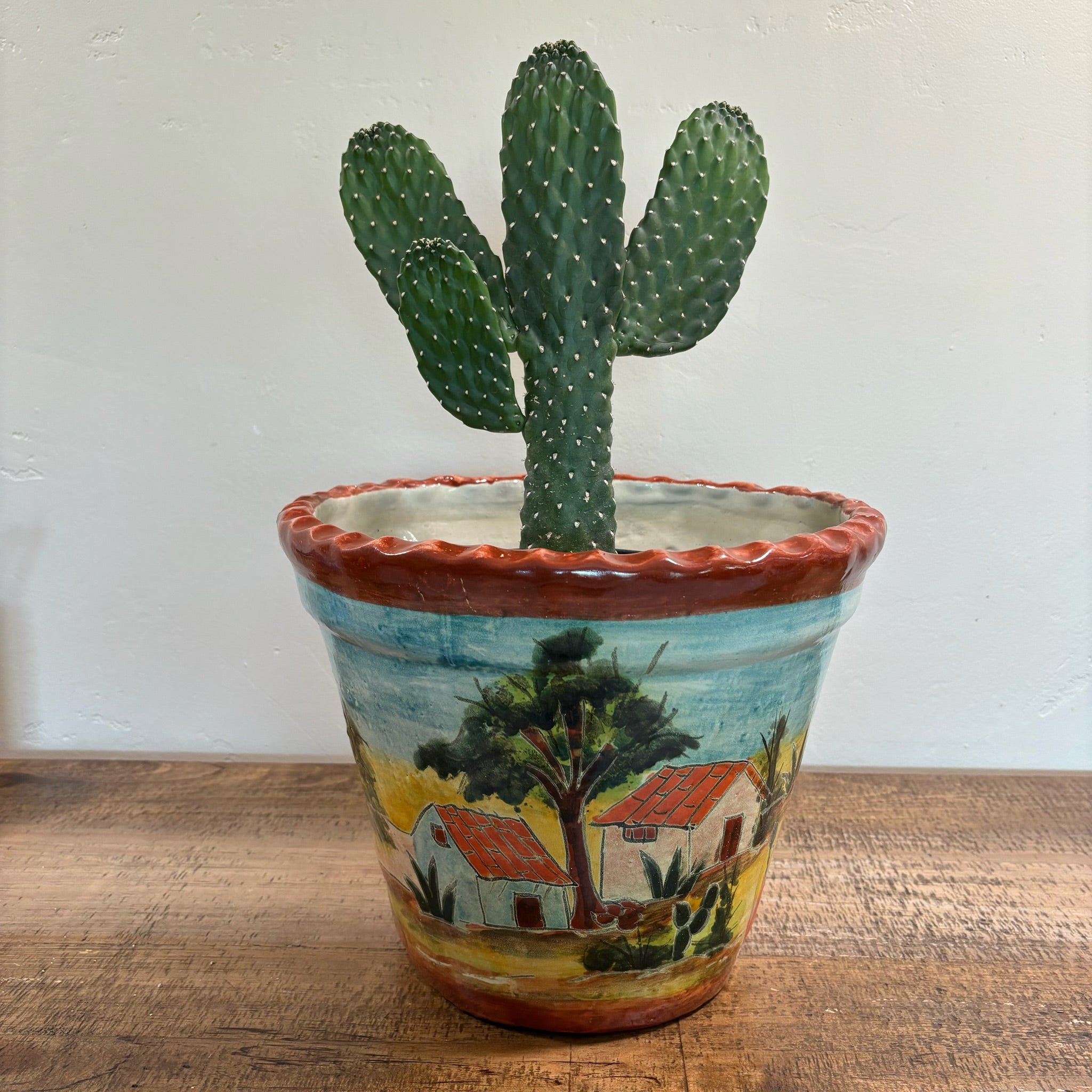 Cowboy Prickly Pear