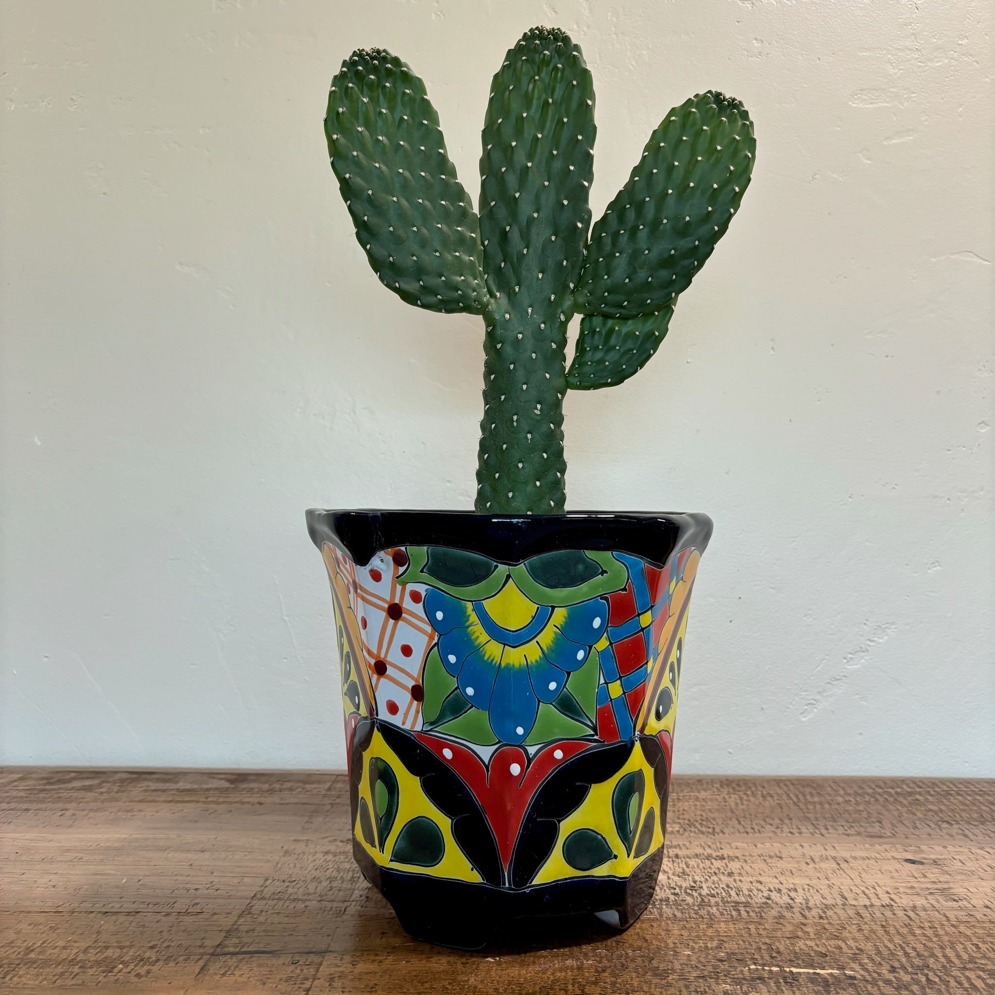 Cowboy Prickly Pear
