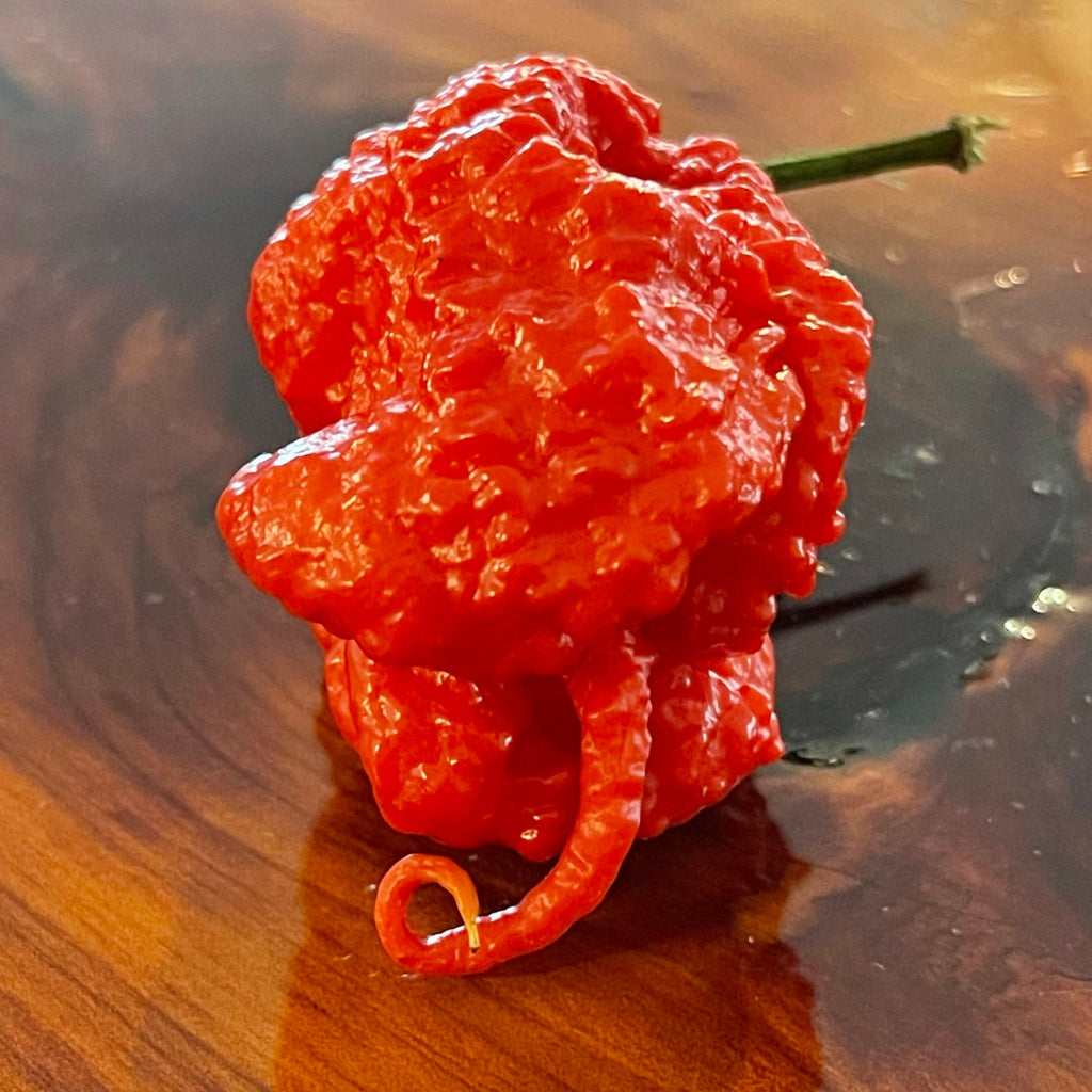 7 Pot Primo - Seeds