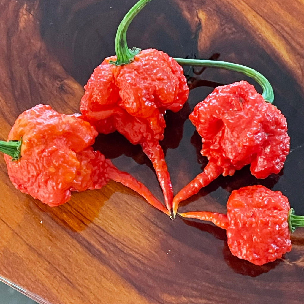 7 Pot Primo - Seeds