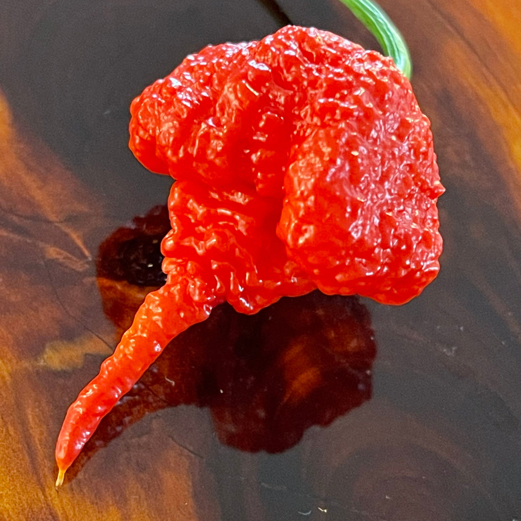 Reaper Mega Combo Pack (6 Types) - Seeds