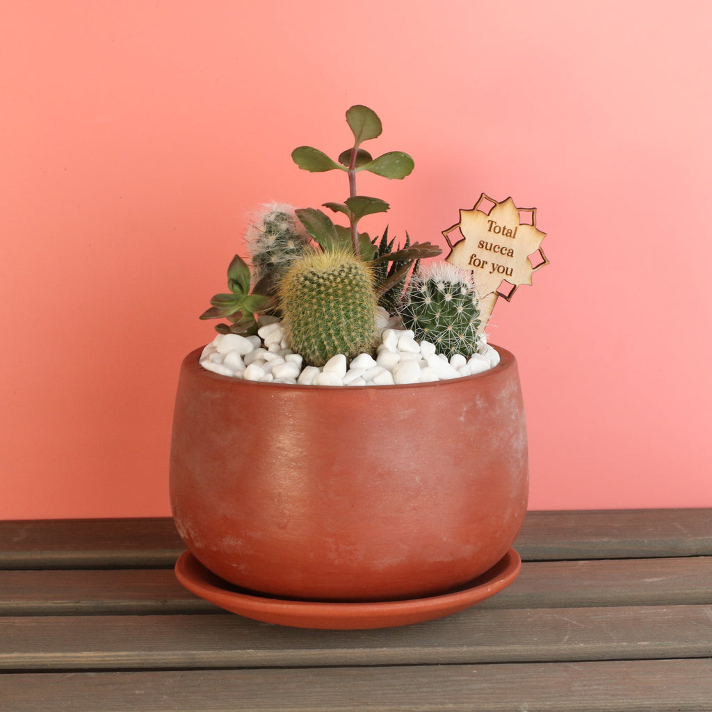Love Grows Here Succulent Workshop- TBD