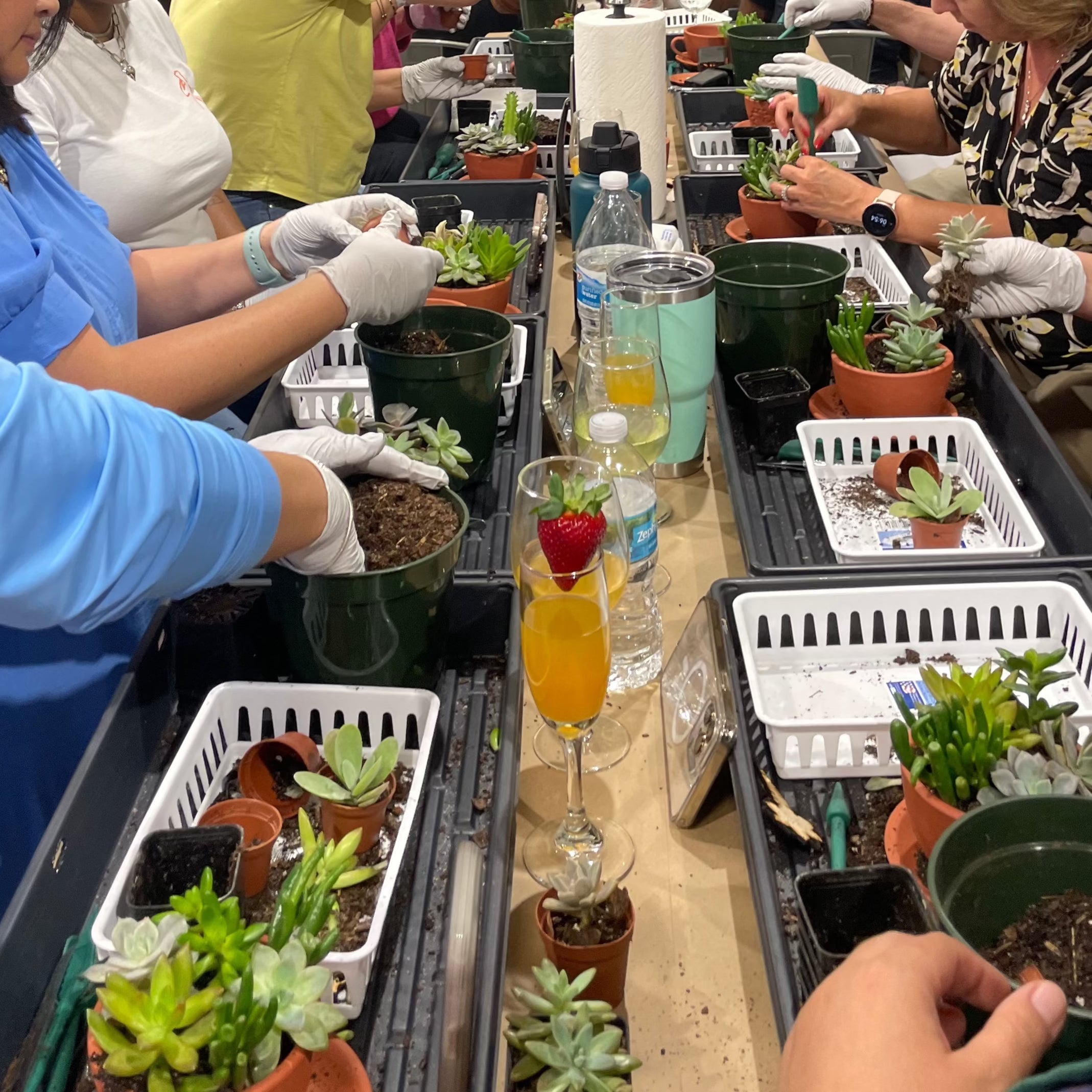 Love Grows Here Succulent Workshop- TBD
