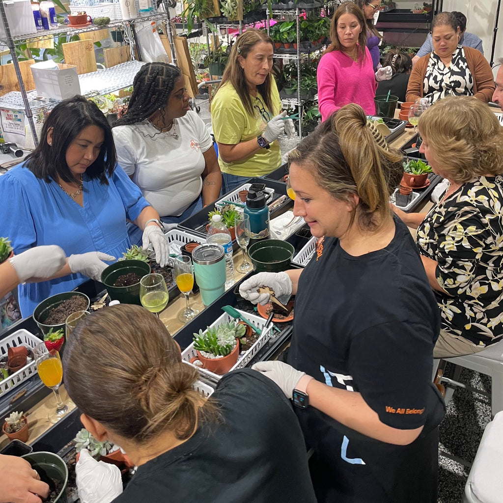 Love Grows Here Succulent Workshop- TBD