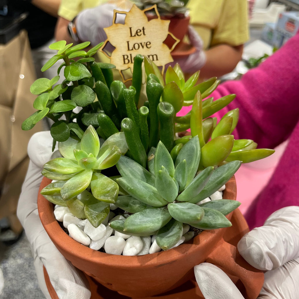 Love Grows Here Succulent Workshop- TBD