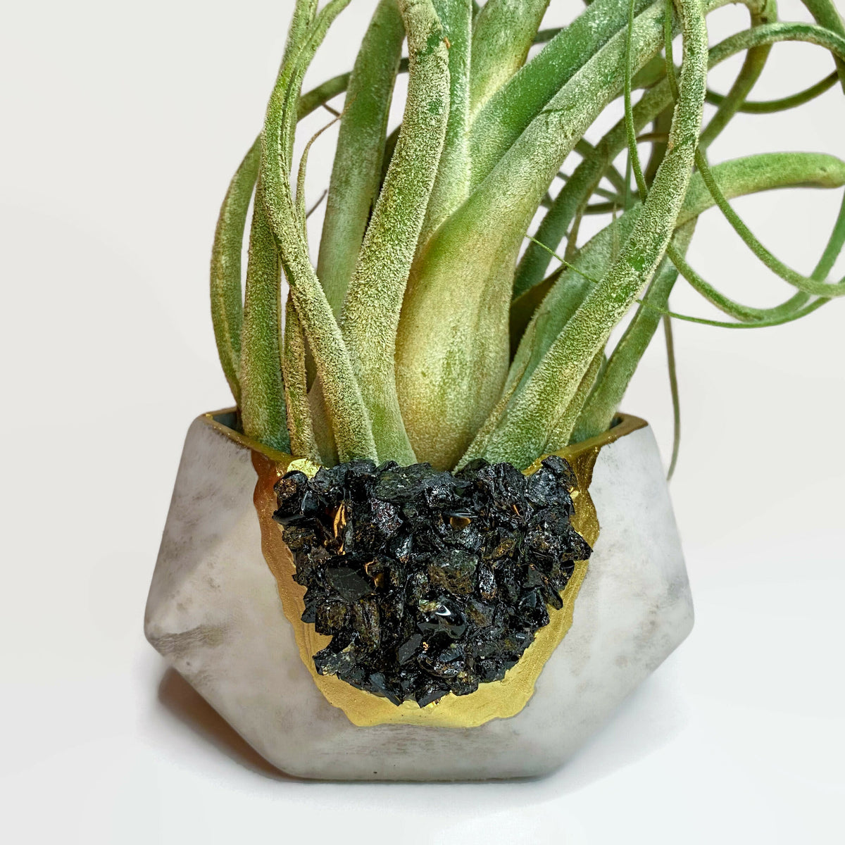 BLACK TOURMALINE GEOMETRIC PLANTER