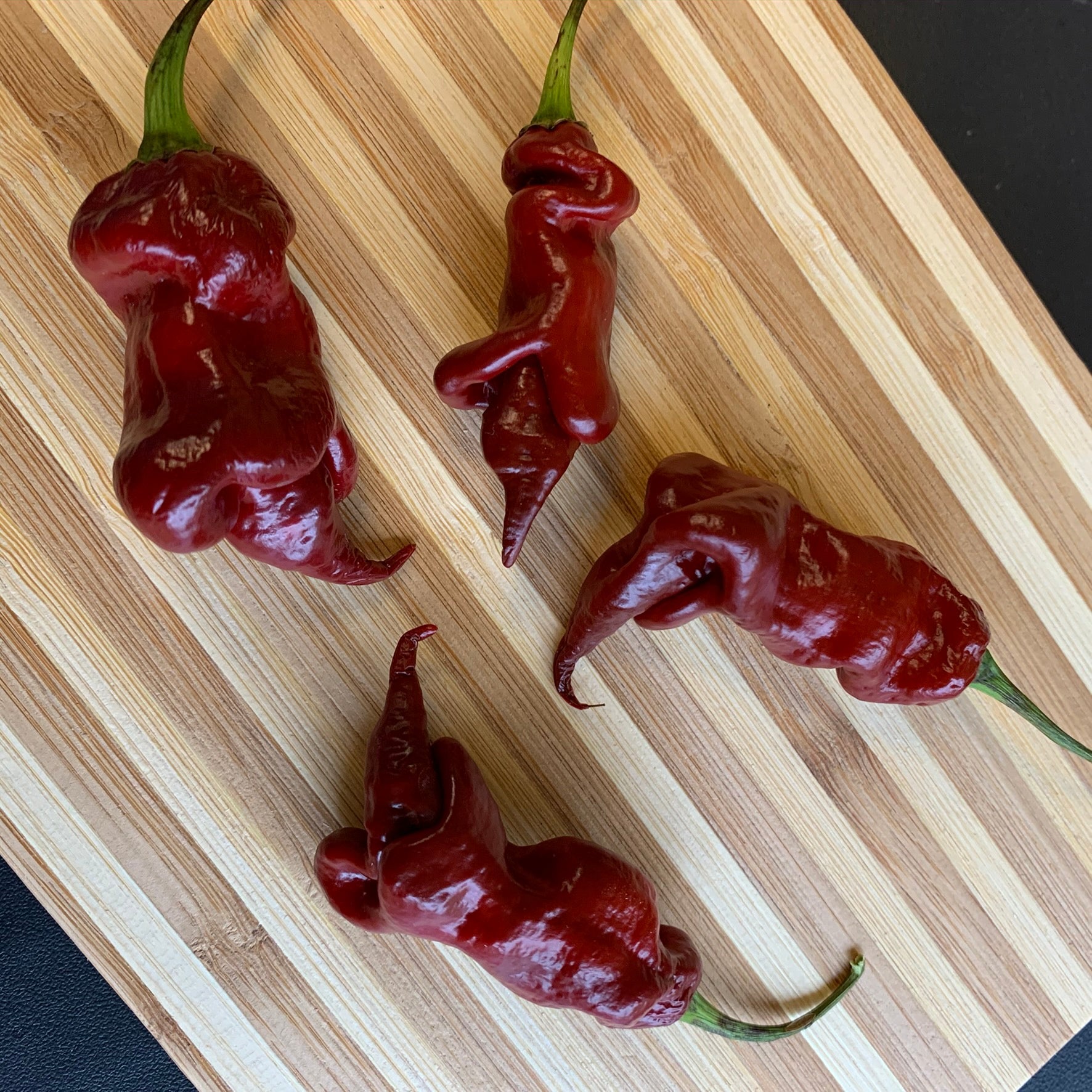 Trinidad Viper Brown - Seeds