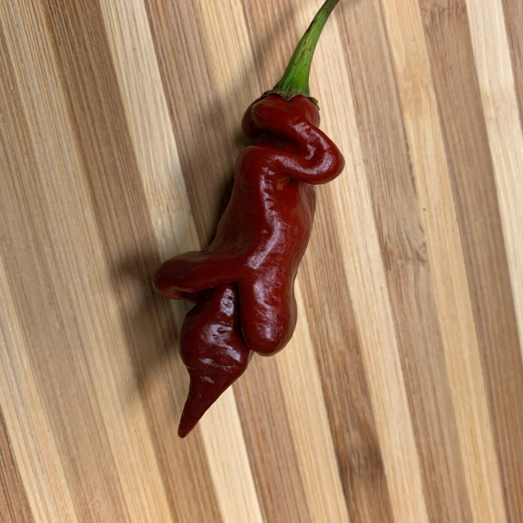Trinidad Viper Brown - Seeds