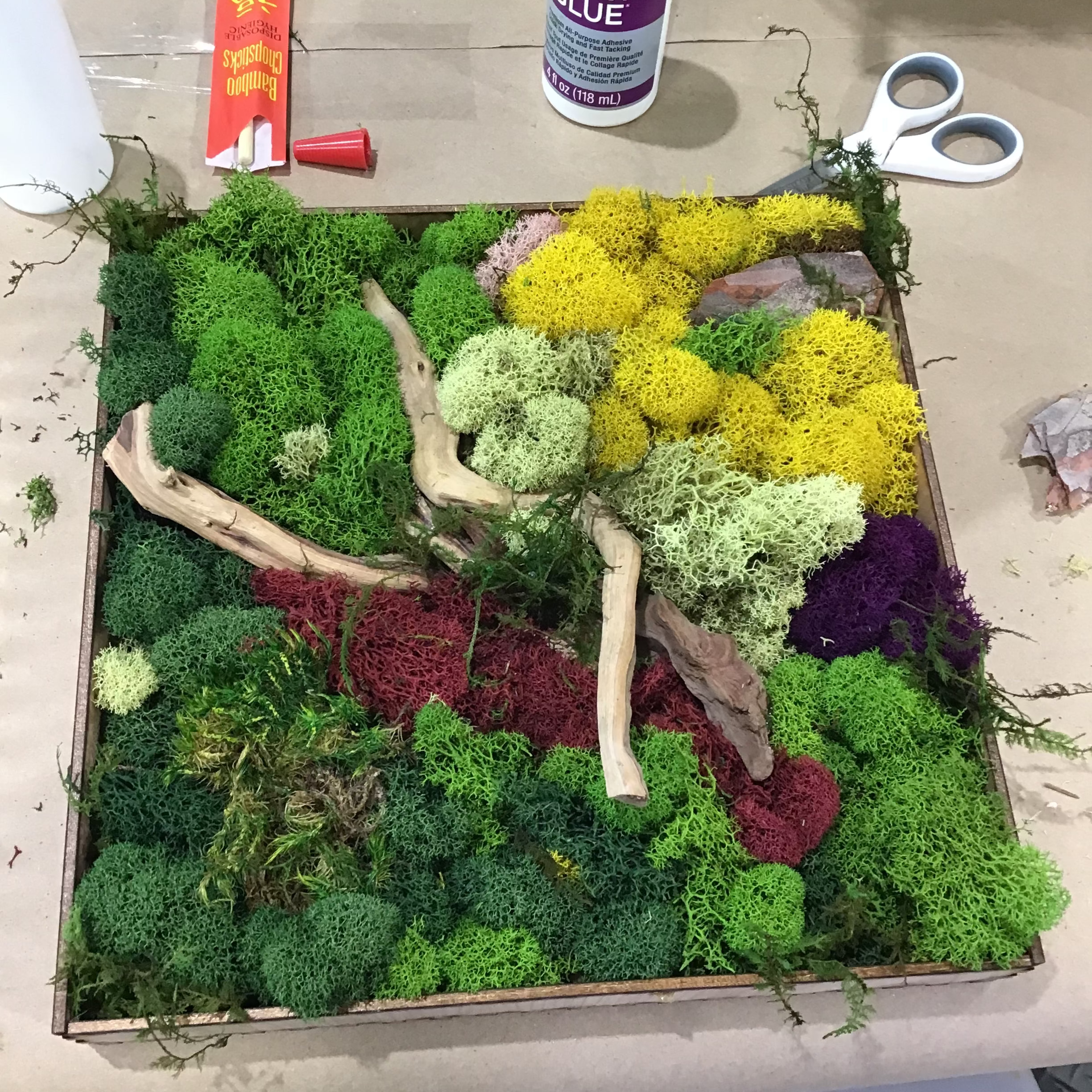Moss Art Frame Workshop - August 20th at 6 PM