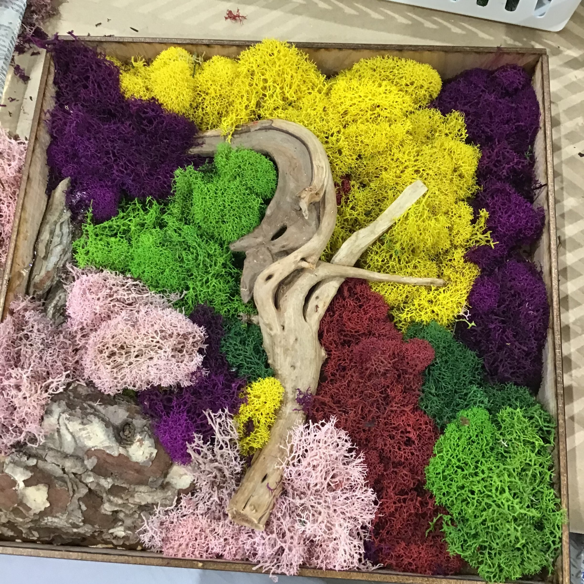 Moss Art Frame Workshop - August 20th at 6 PM