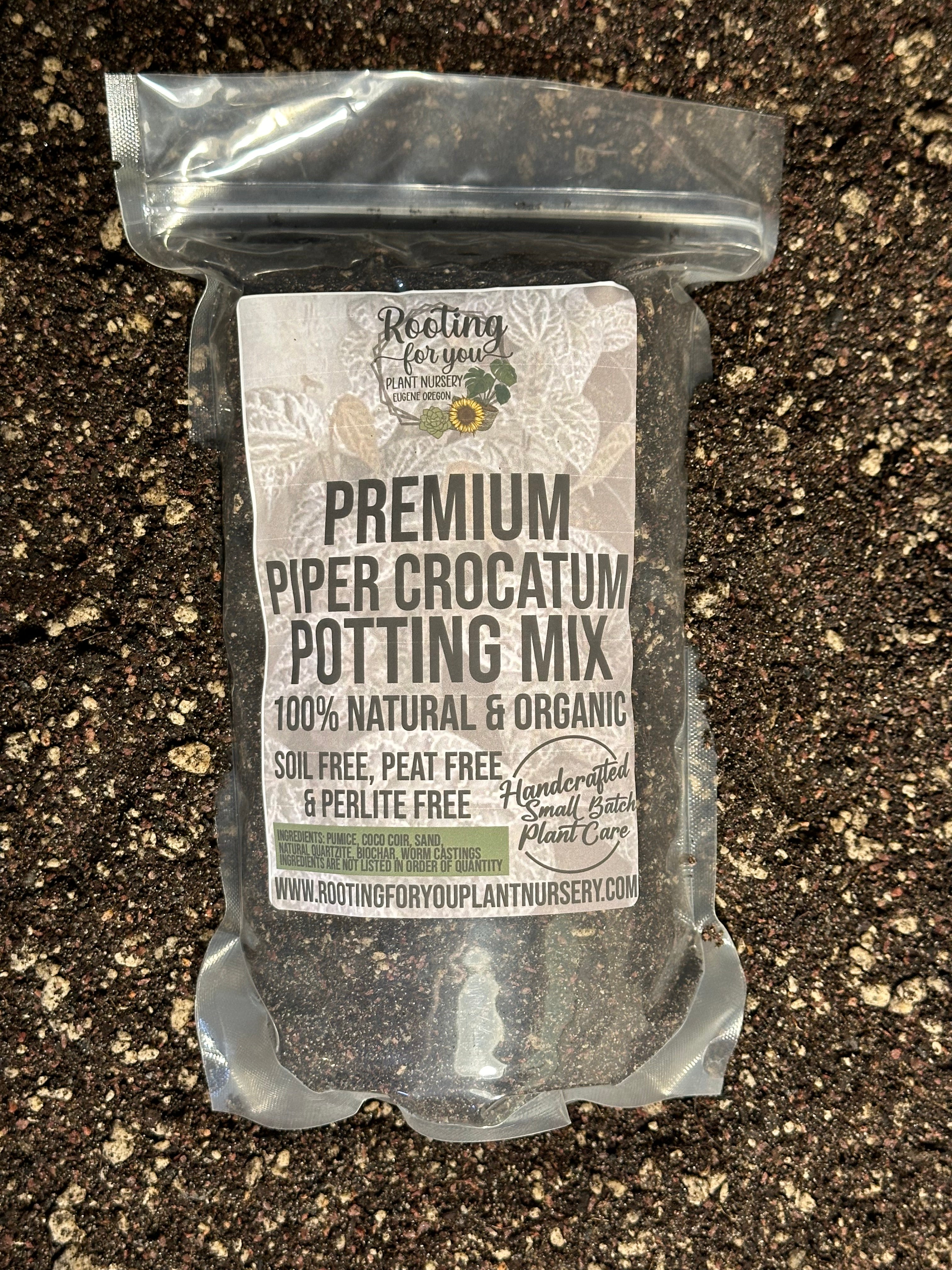 Piper Crocatum Premium Potting Mix