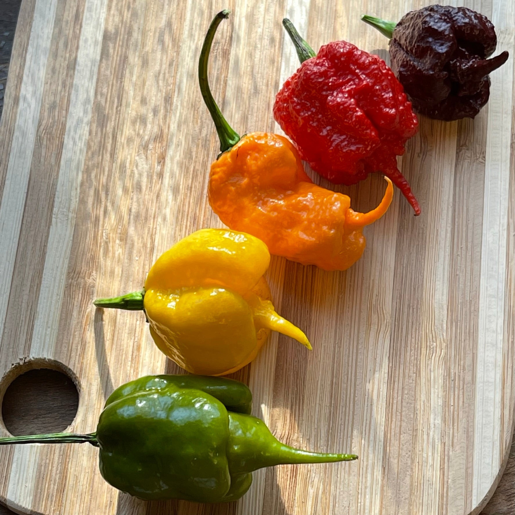 Reaper Mega Combo Pack (6 Types) - Seeds