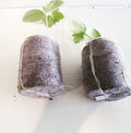 Pure Rooters - 42MM Coco Plugs/Pellets
