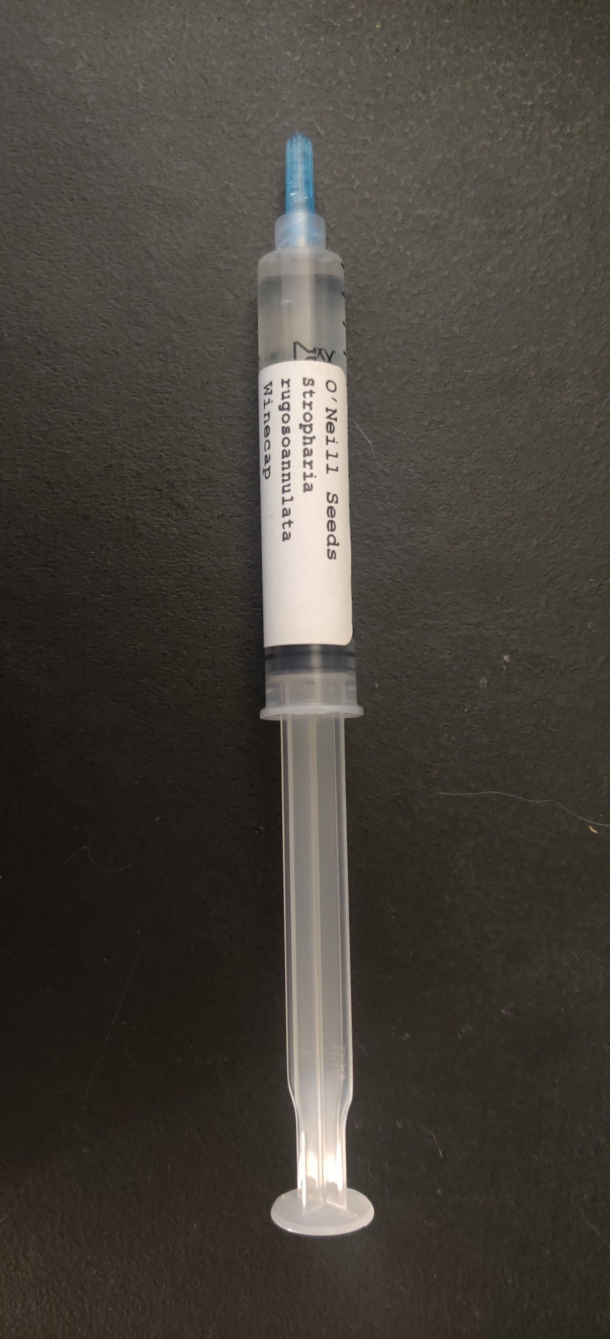 Gourmet Winecap Mushroom Liquid Culture Syringe (Stropharia rugosoannulata)