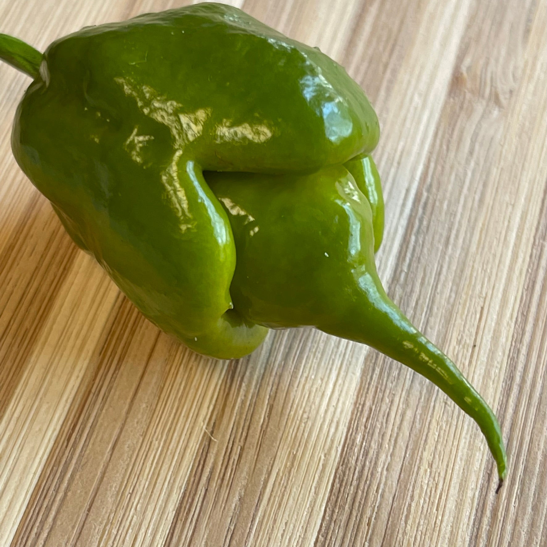Reaper Mega Combo Pack (6 Types) - Seeds