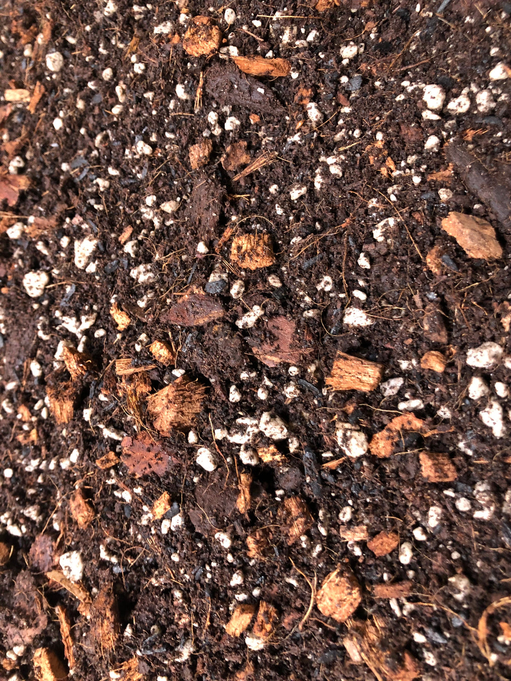 CALATHEA Premium Potting Mix
