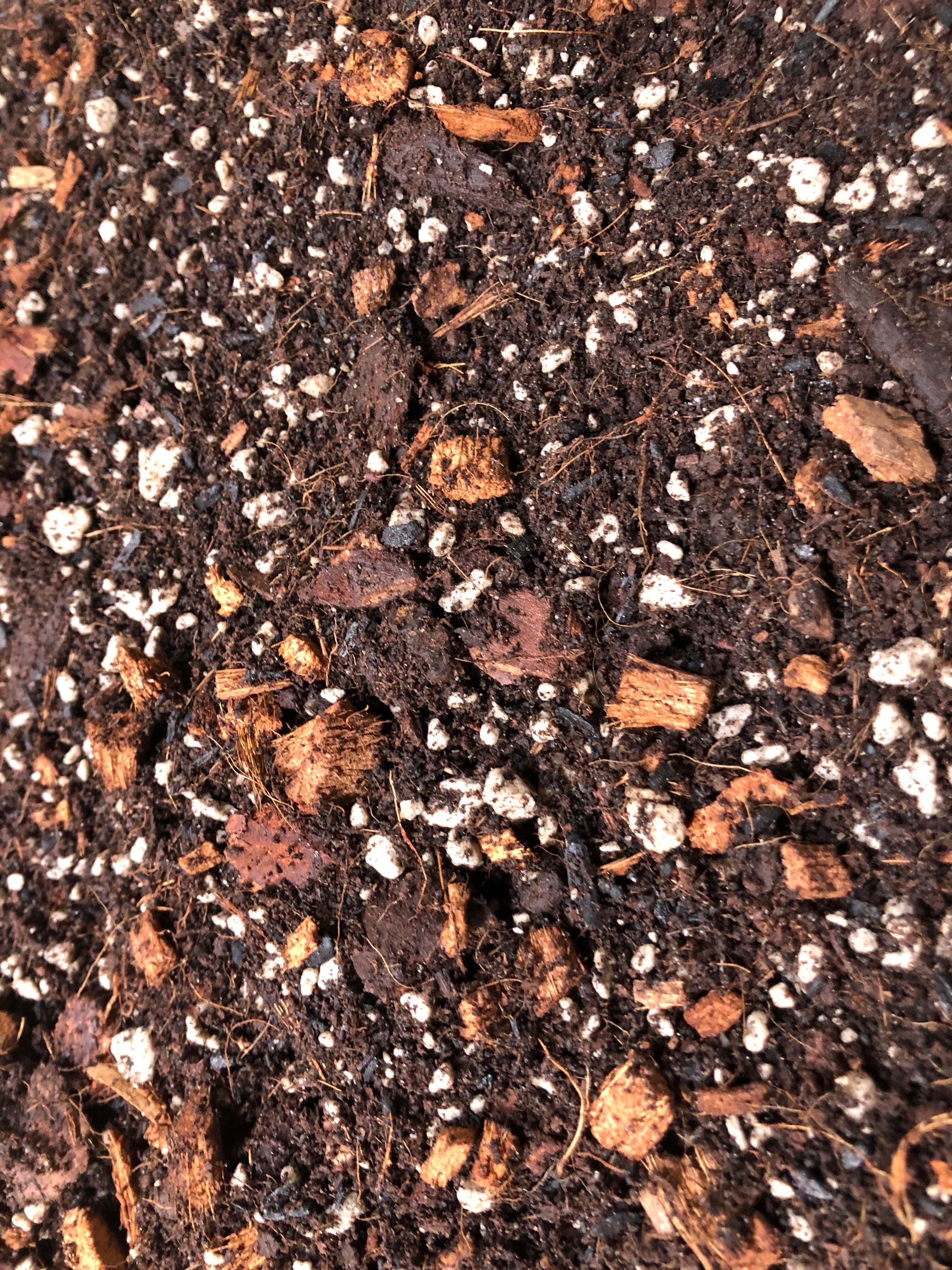 CALATHEA Premium Potting Mix