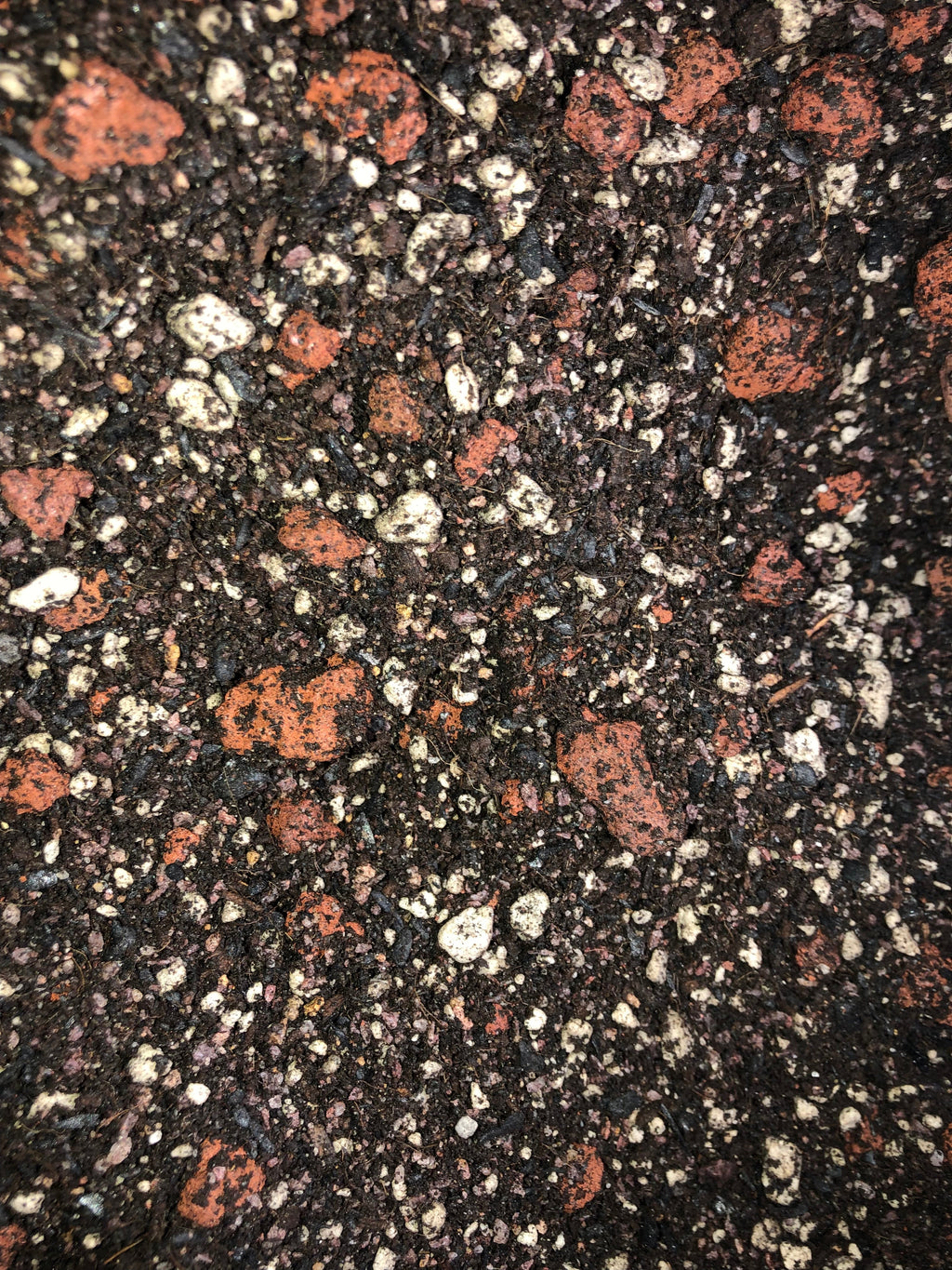 June Plum Premium Potting Mix