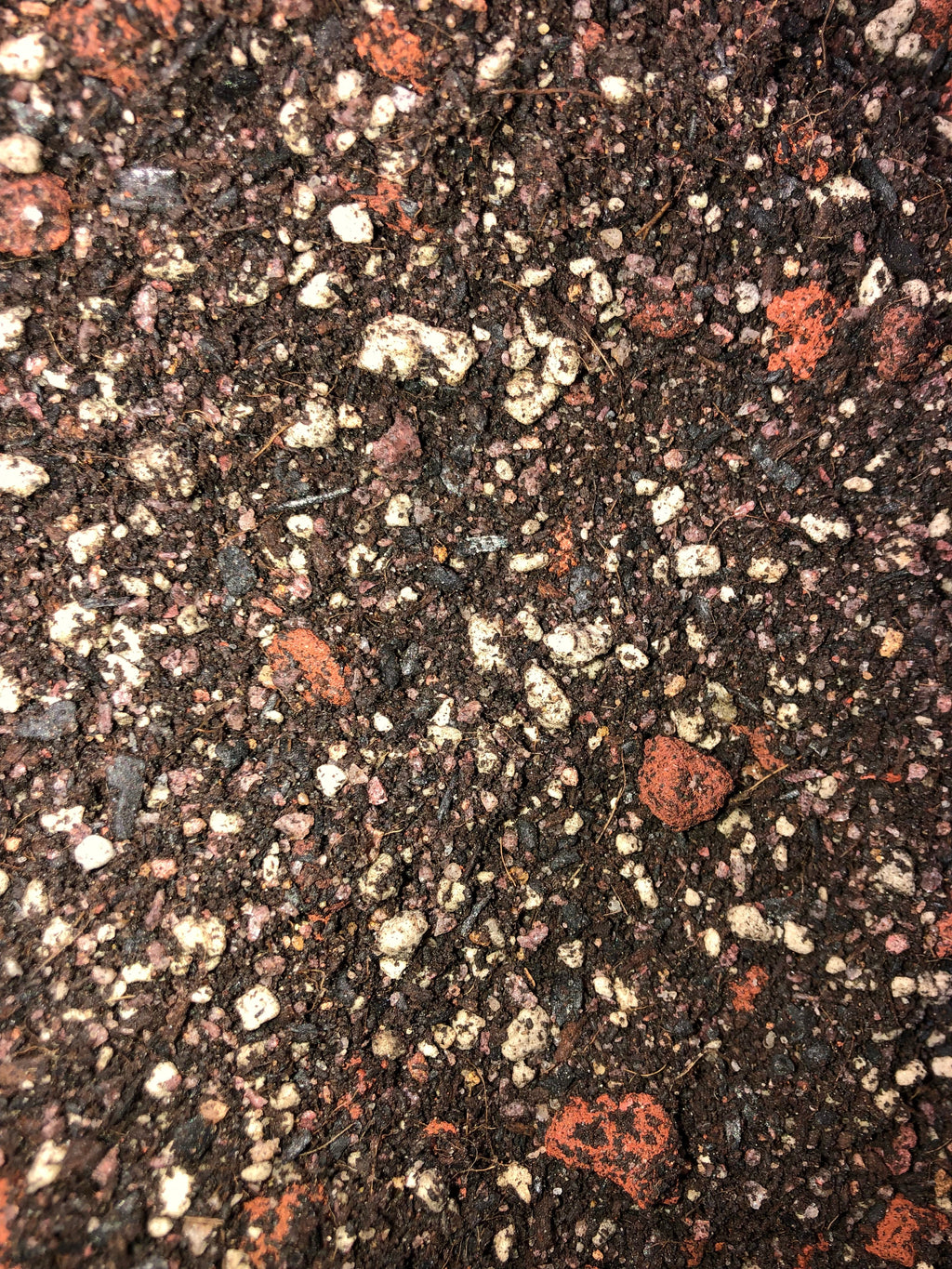 Olive Tree Premium Potting Mix