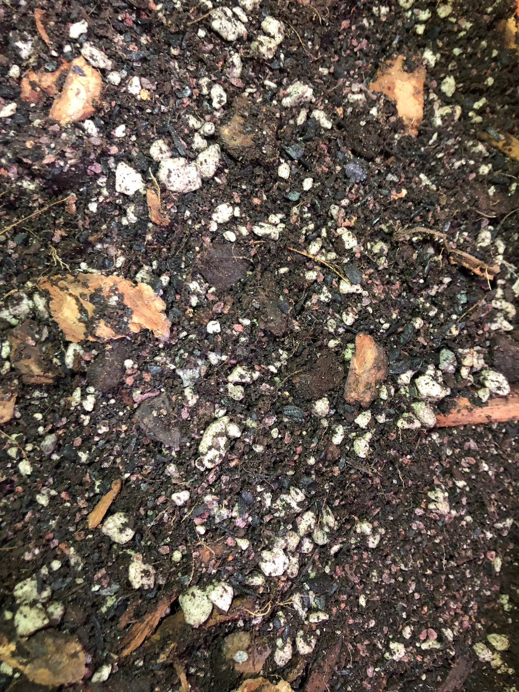 Citrus Tree Premium Potting Mix
