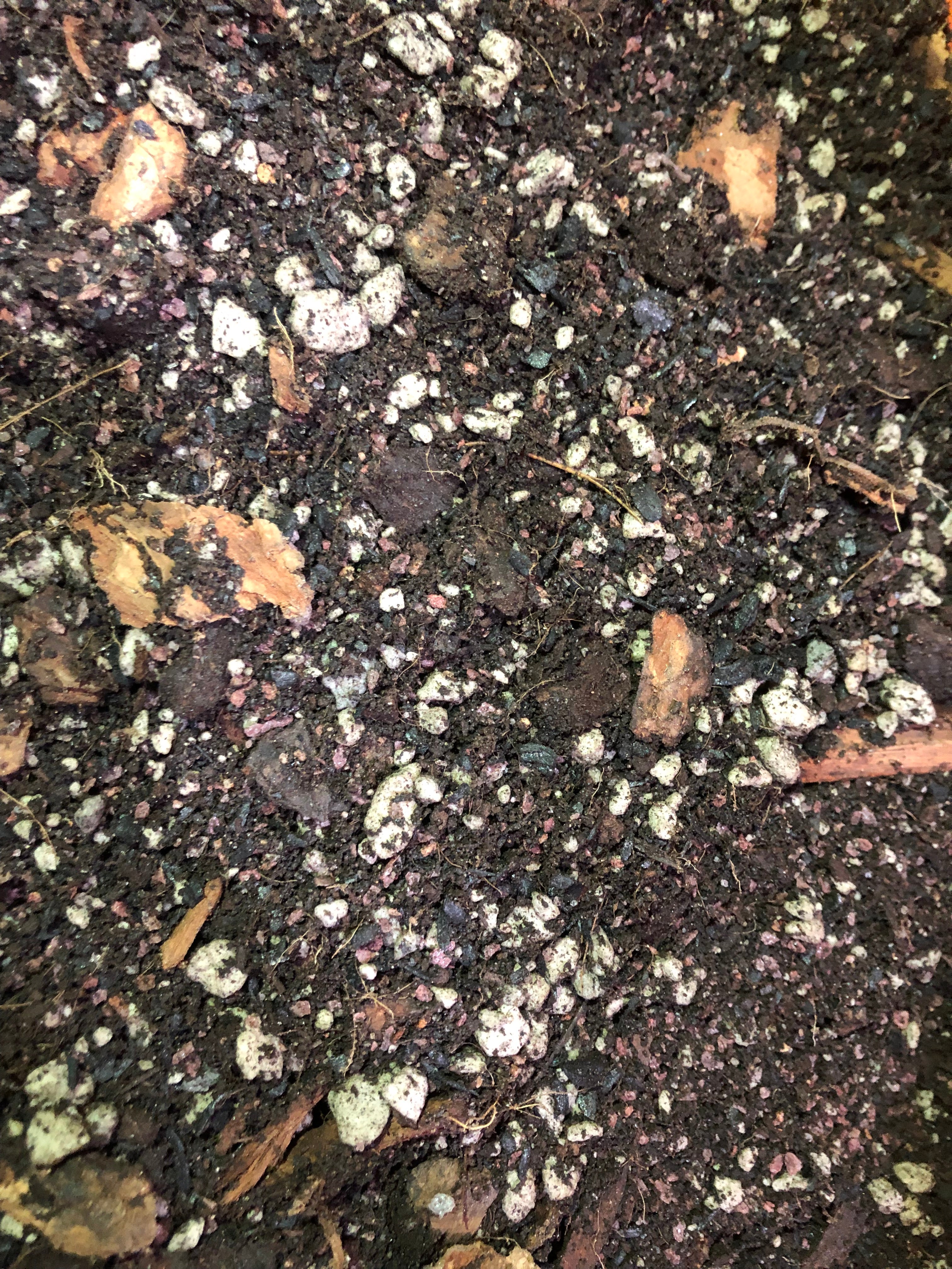 Citrus Tree Premium Potting Mix