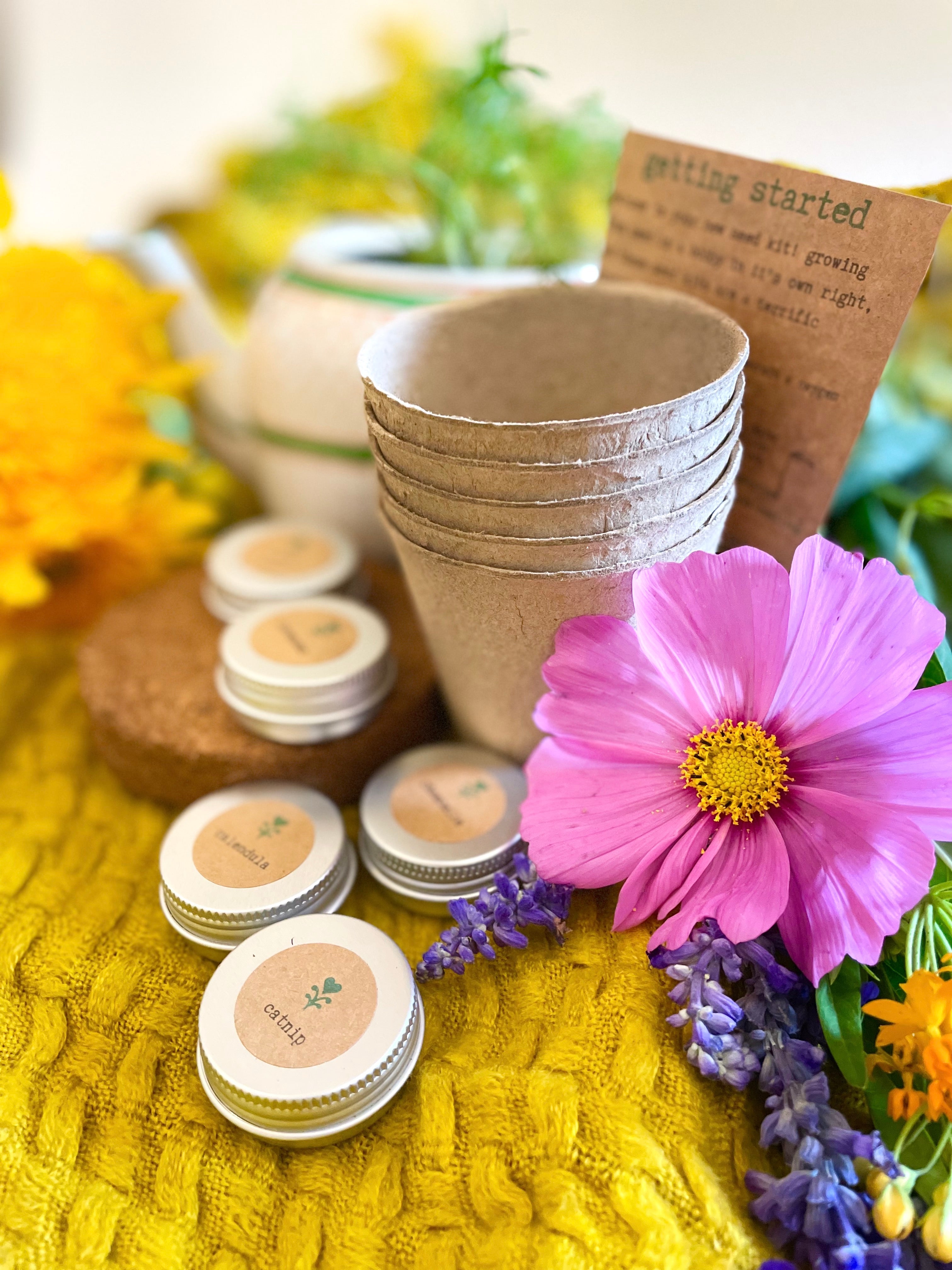 Herbal Tea Garden Growing Kit (Get Growing)