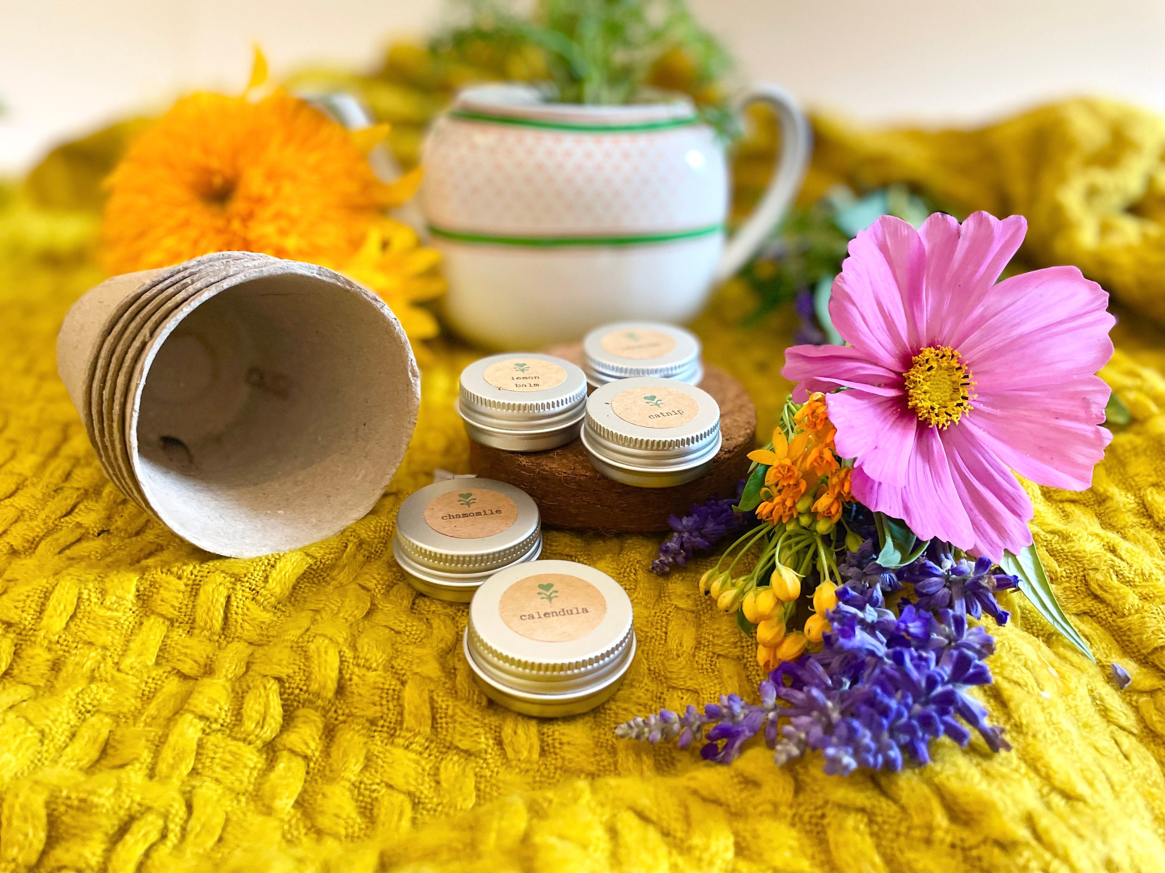 Herbal Tea Garden Growing Kit (Get Growing)