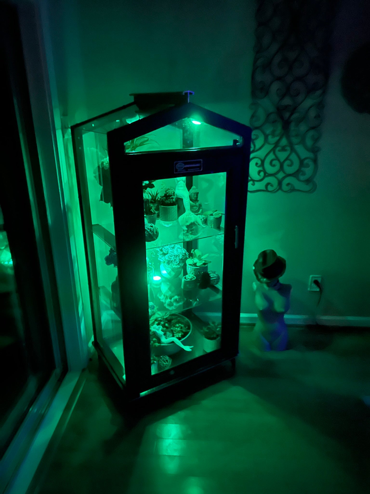 Glass Butterfly Enclosure/Outdoor Garden Cabinet