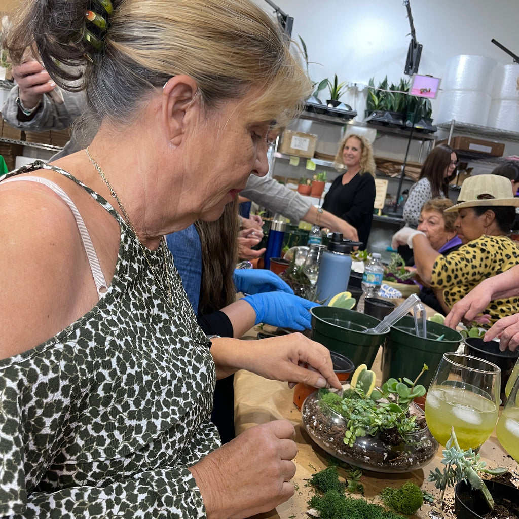 Sweetheart Terrarium Workshop - Thursday, TBD