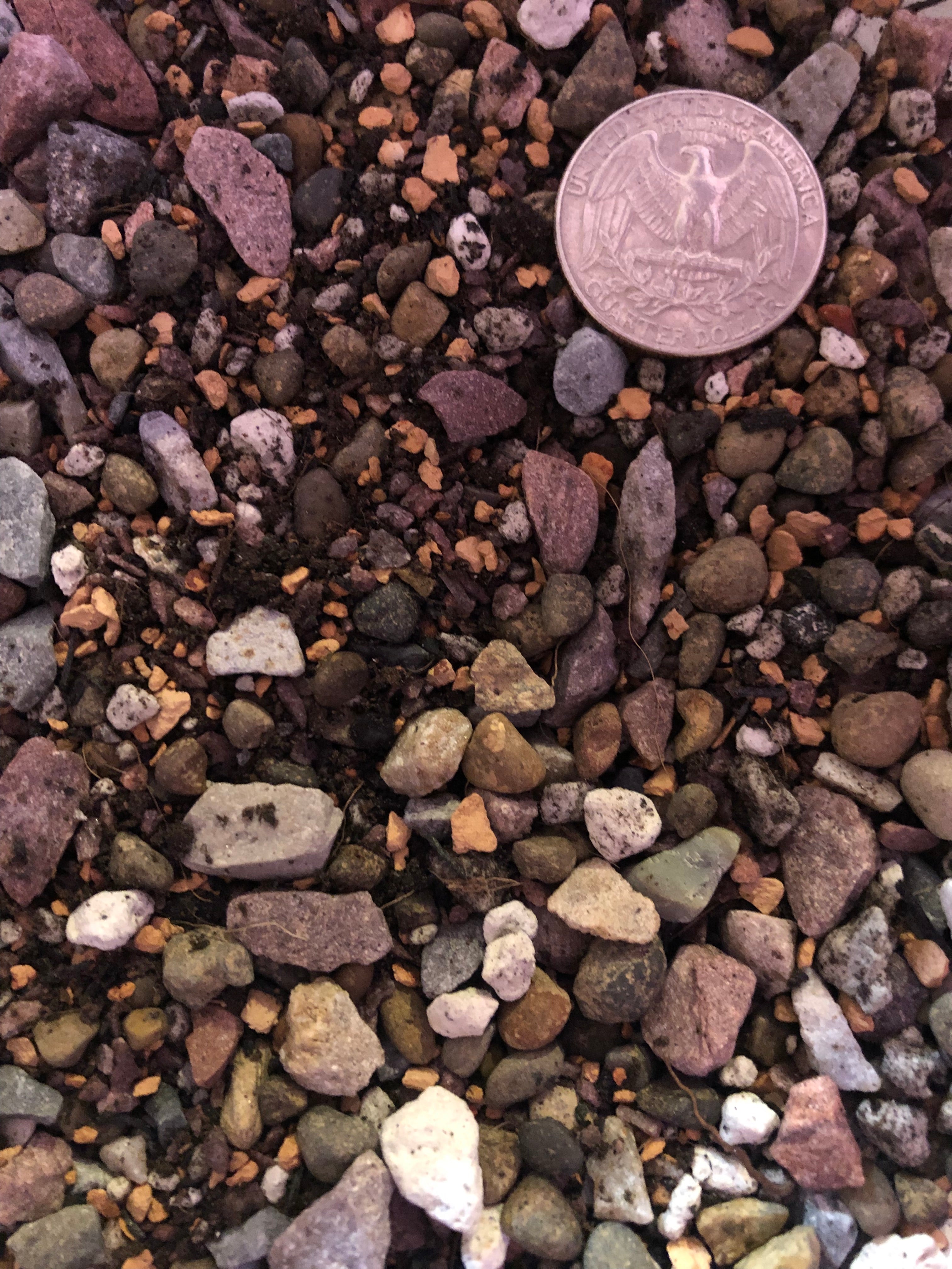 CACTUS & SUCCULENT Premium Potting Mix