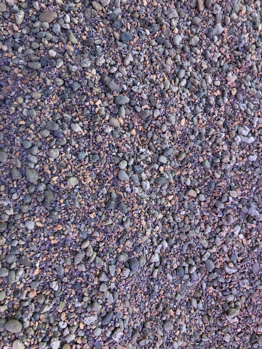 Lithops Living Stone Premium Potting Mix