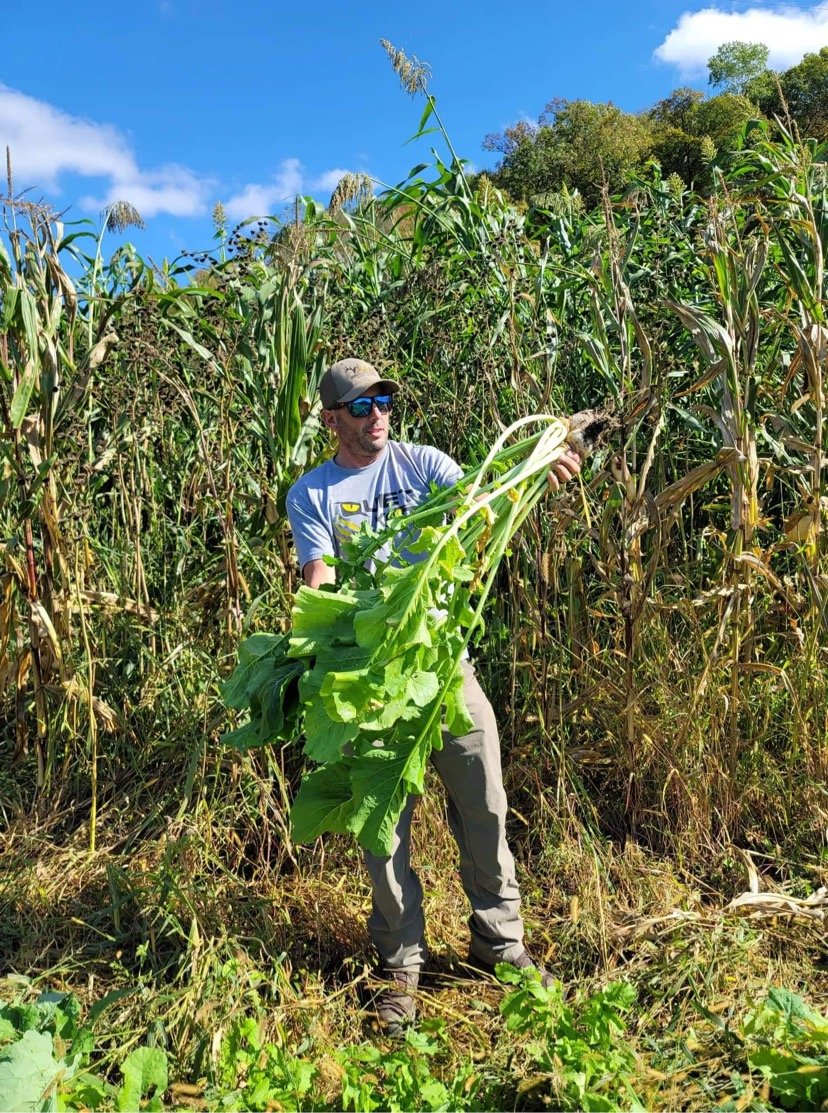 Bombshell™ Food Plot Seed