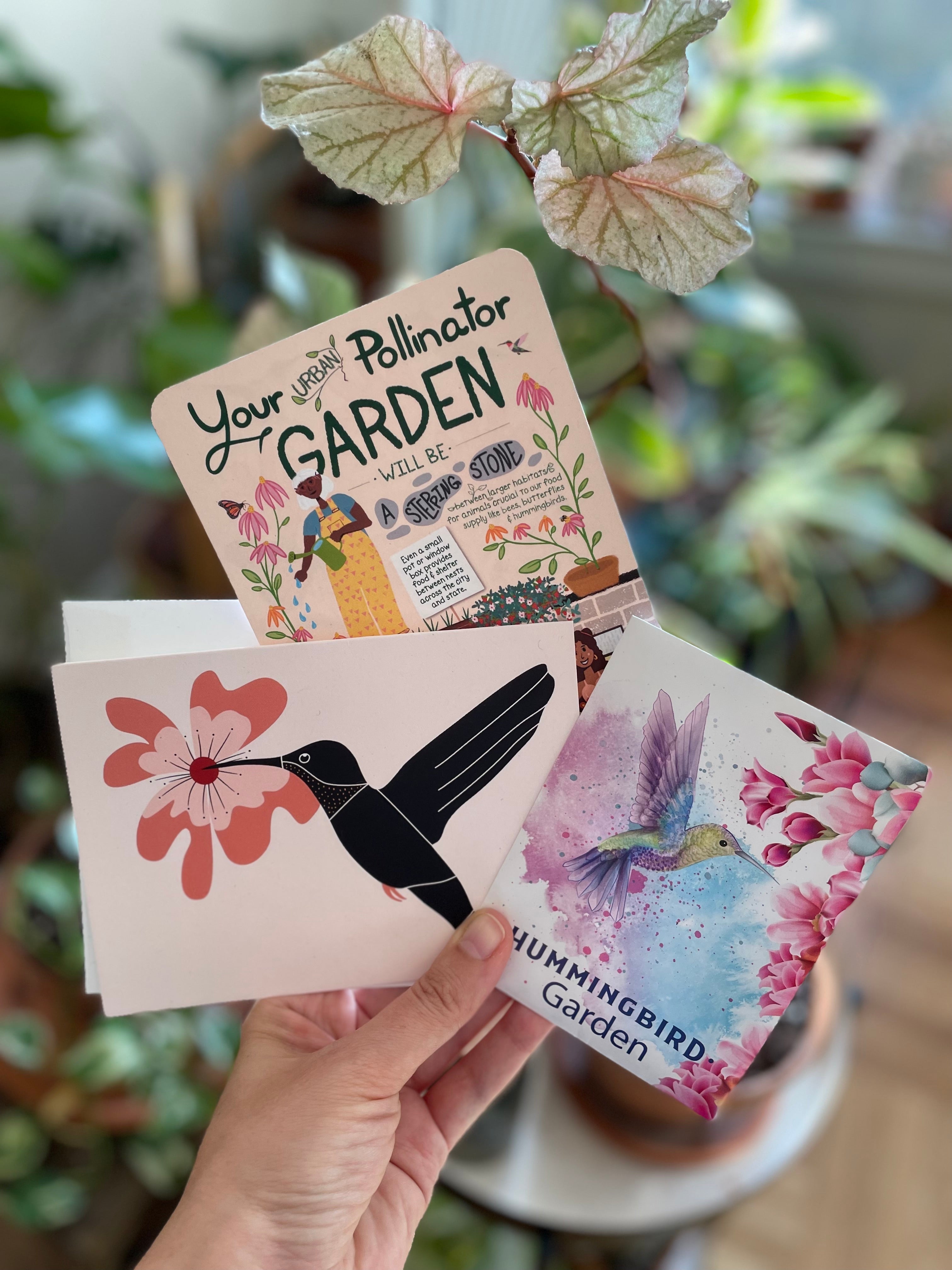 Hummingbird Garden Greetings Kit w. Non-GMO "Hummingbird Garden" Packet w. Seeds, Infosheets + Hummingbird Greeting Card (Celebrate Pollinators)