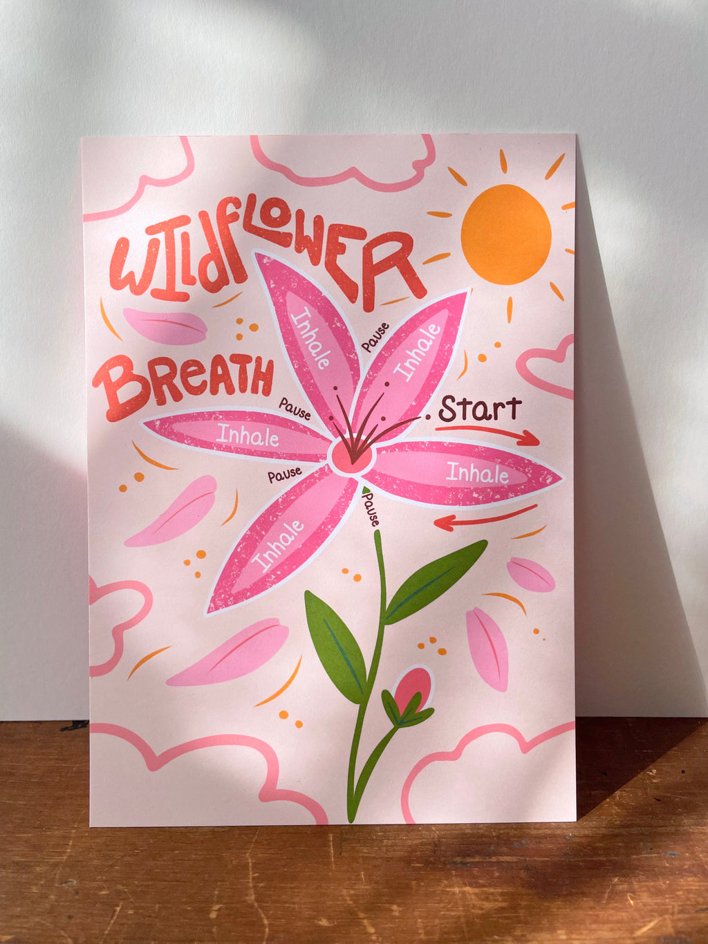 Build Your Own Custom Growing Gift Box with Garden Kit, Plant Kit, Organic Tea & Meditation Card of Your Choice