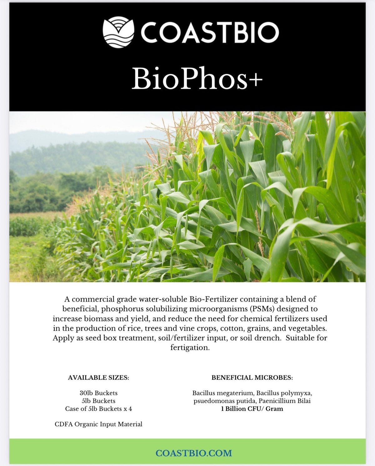 BioPhos+