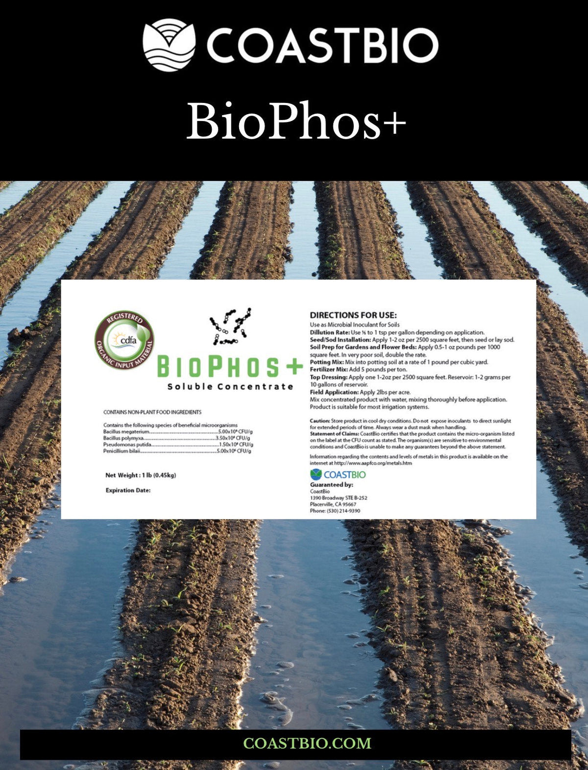 BioPhos+