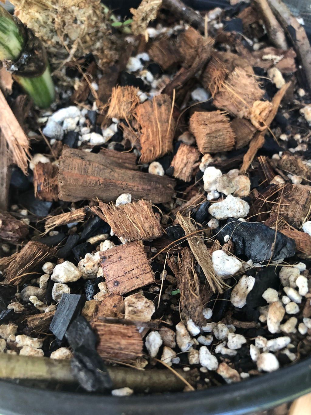 AROID Premium Potting Mix - General Purpose For All Aroids