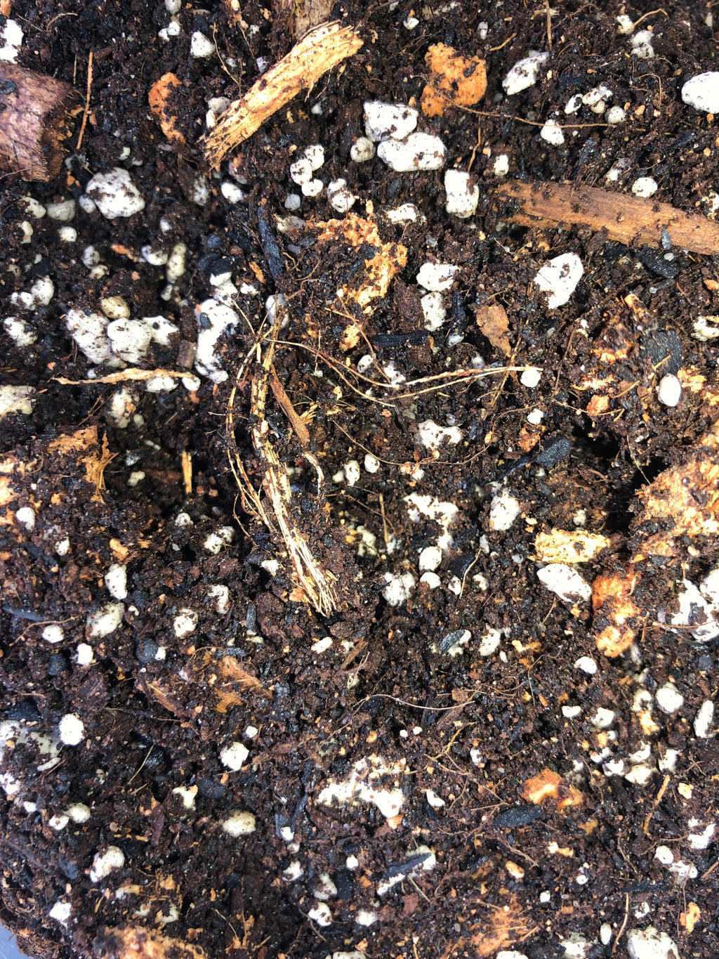 AROID Premium Potting Mix - General Purpose For All Aroids
