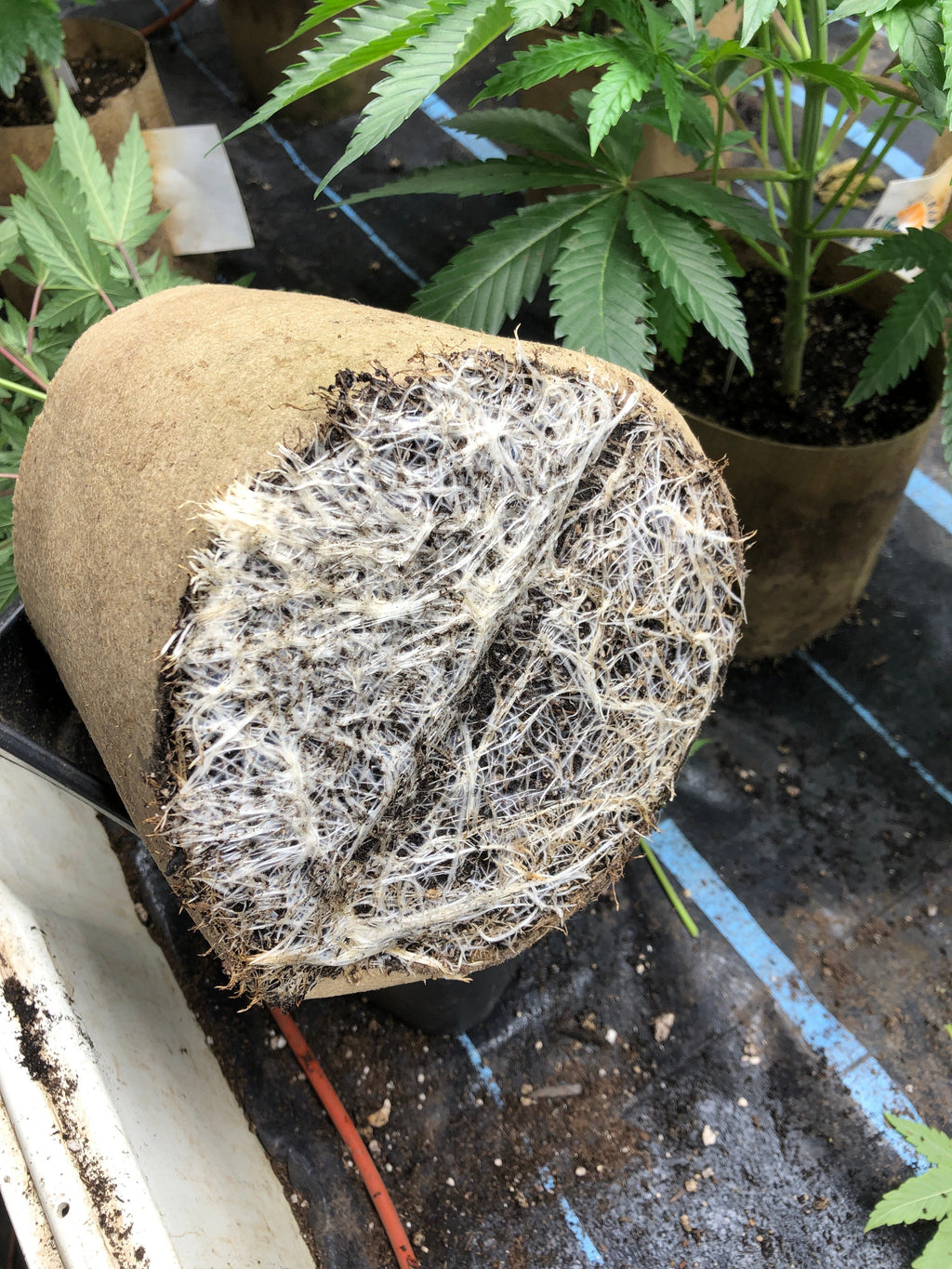 AquaMat Capillary Irrigation Mat Systems