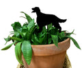 Irish Setter Plant Stake