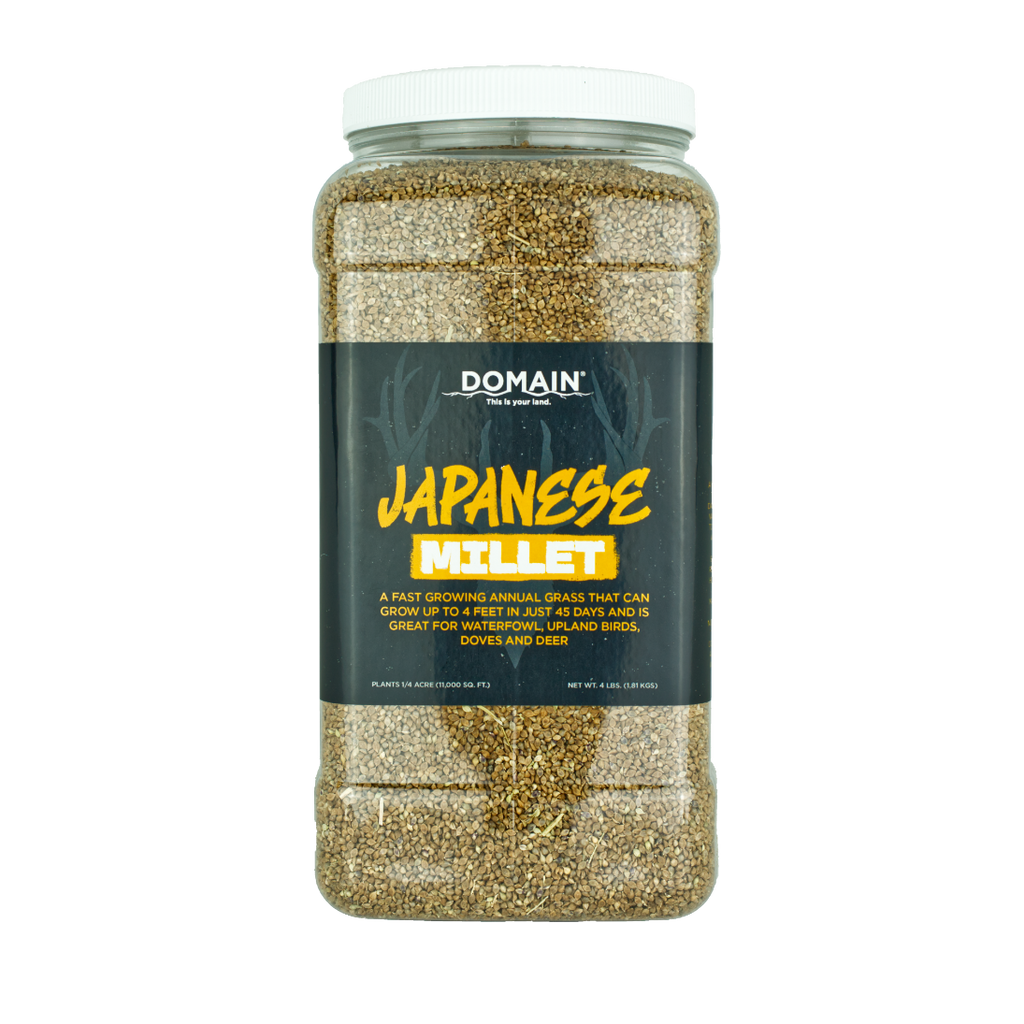 Japanese Millet Food Plot Seed