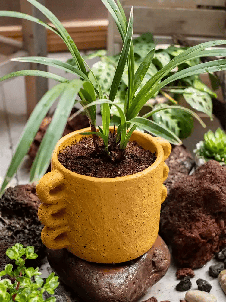 Artisan Loop Handle Cement Planter