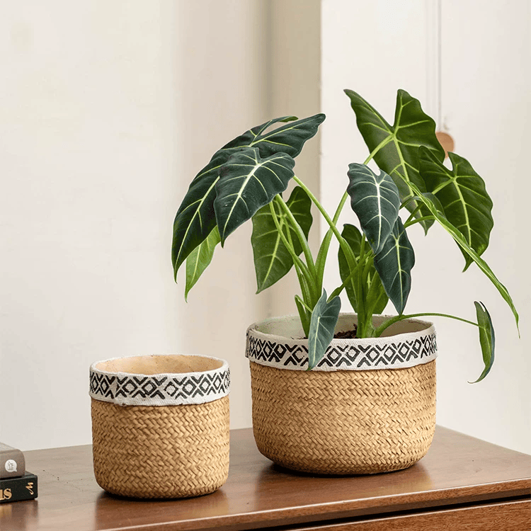 Patterned Rattan Cement Planter